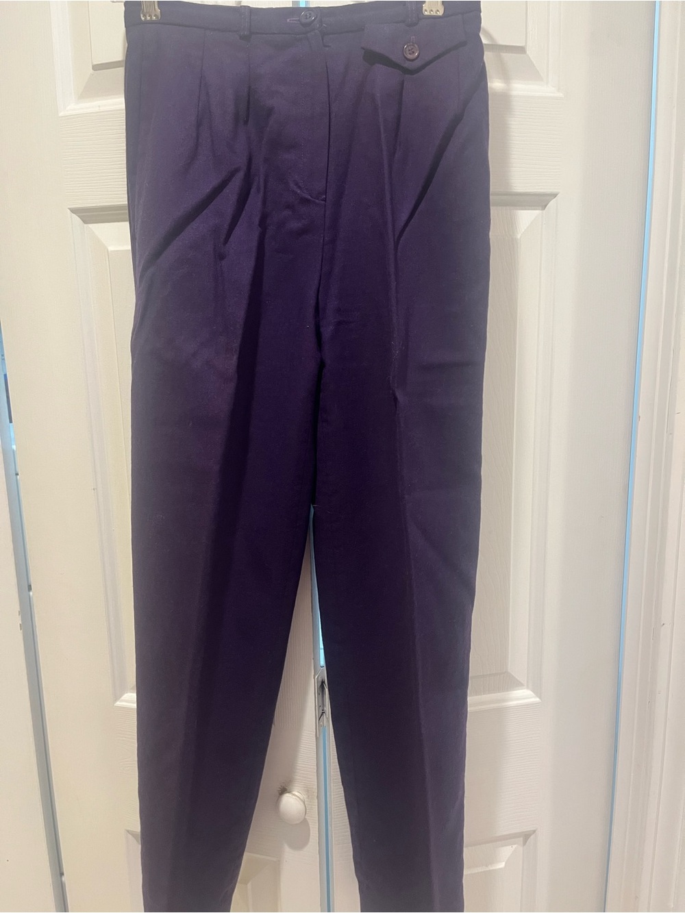 Petite Sophisticate Women’s Dark Purple lined Dress Pants